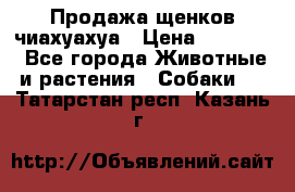 Продажа щенков чиахуахуа › Цена ­ 12 000 - Все города Животные и растения » Собаки   . Татарстан респ.,Казань г.